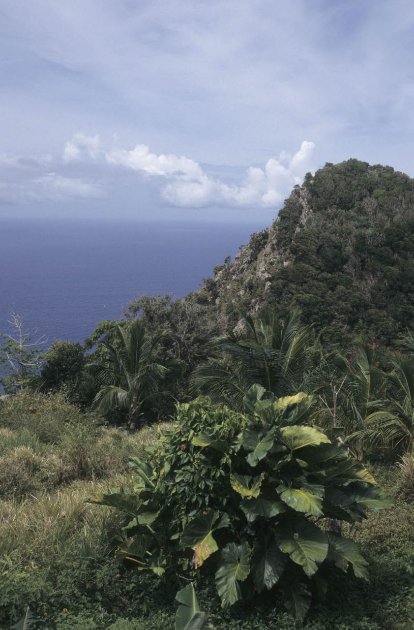 randonnée sur le volcan randonnée sur le volcan