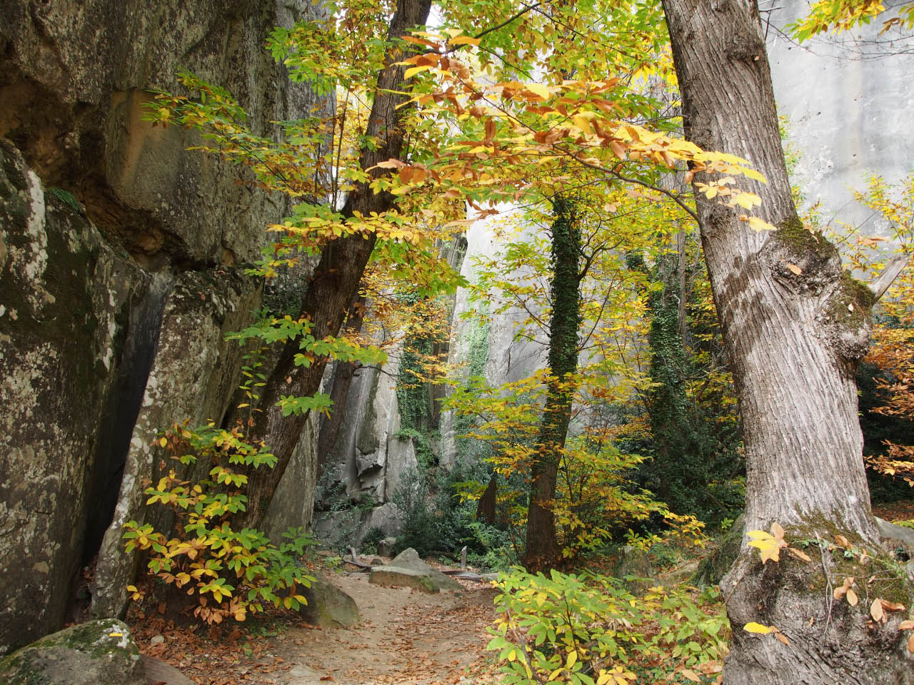 Les grès d'Annot... Thumbnail image