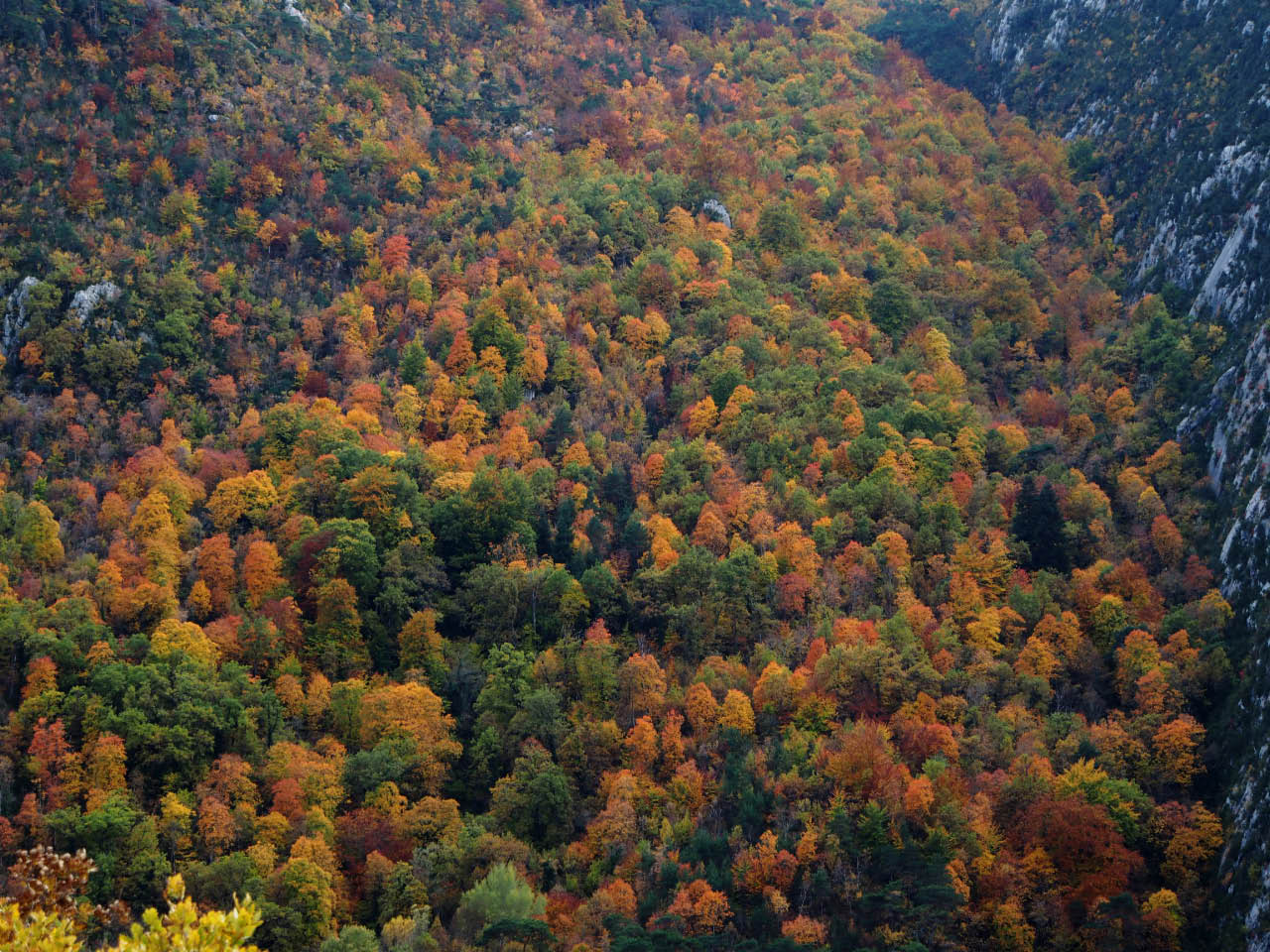 Palette de couleurs Thumbnail image