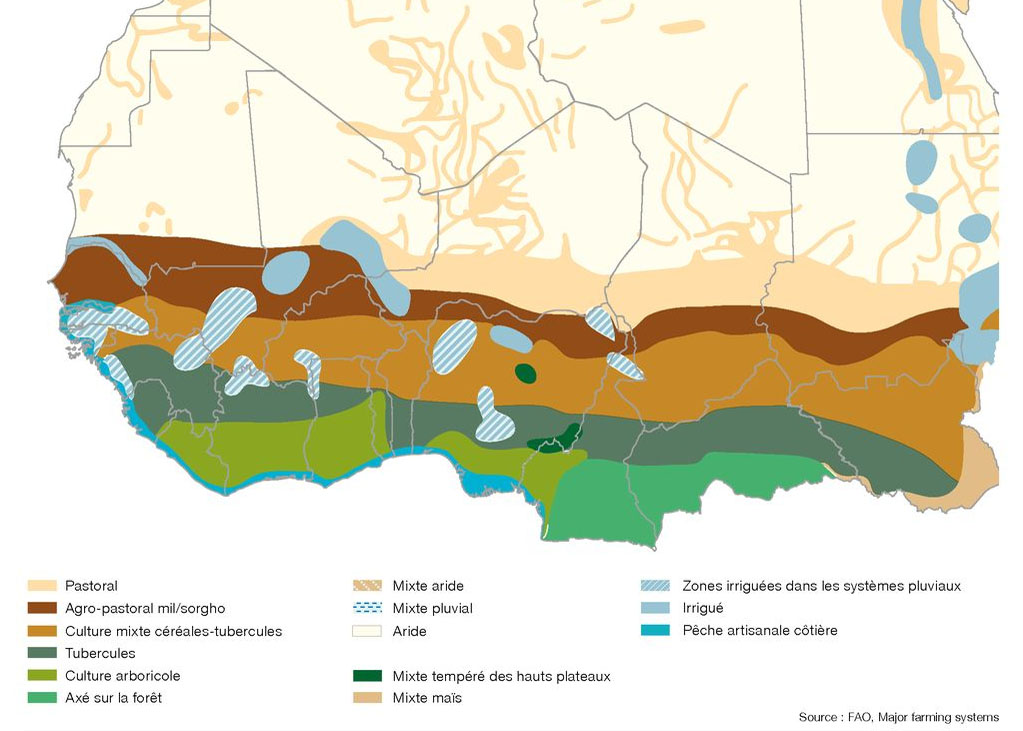 Zone agricole d'afriquede l'ouest