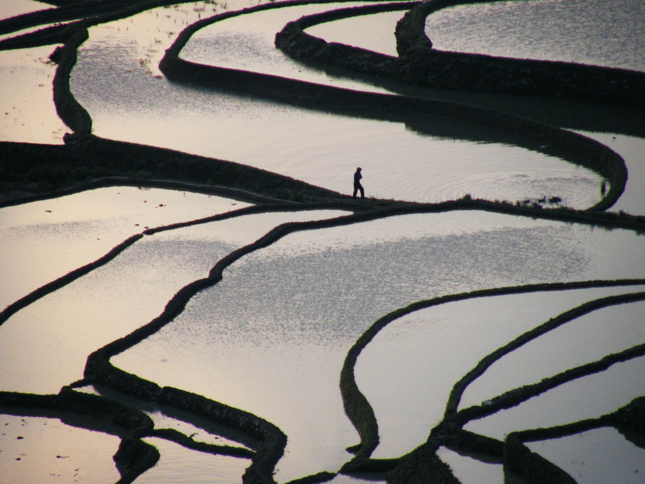 les rizières du ciel au Yunan 