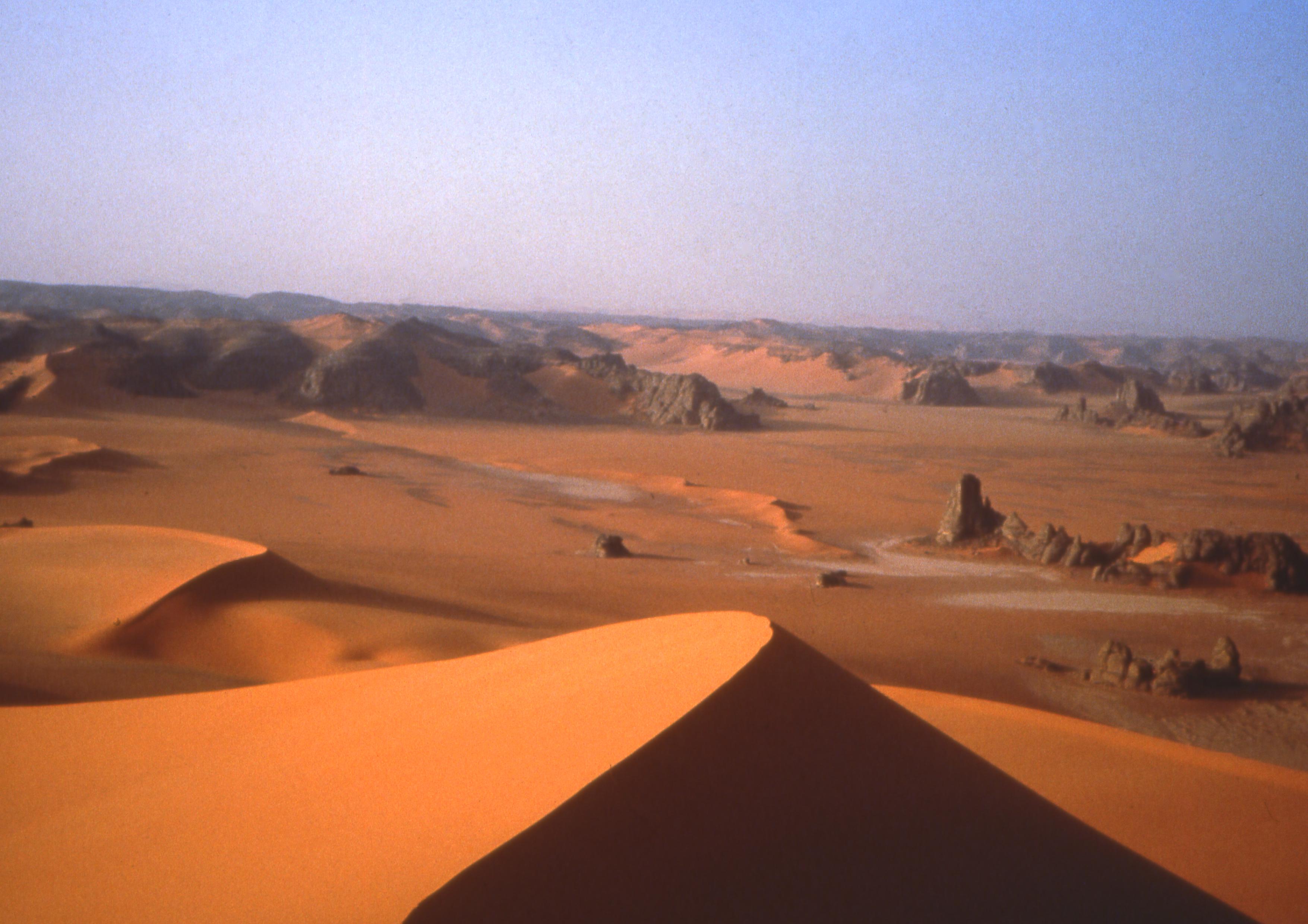 Sahara