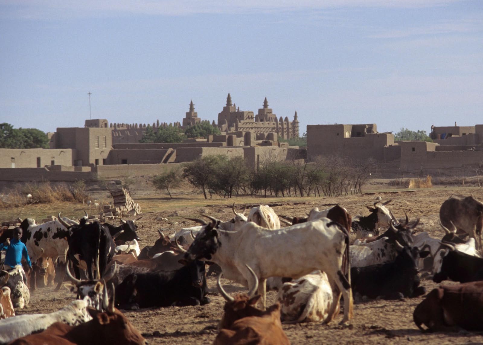 Sahel : Djenne au Mali  