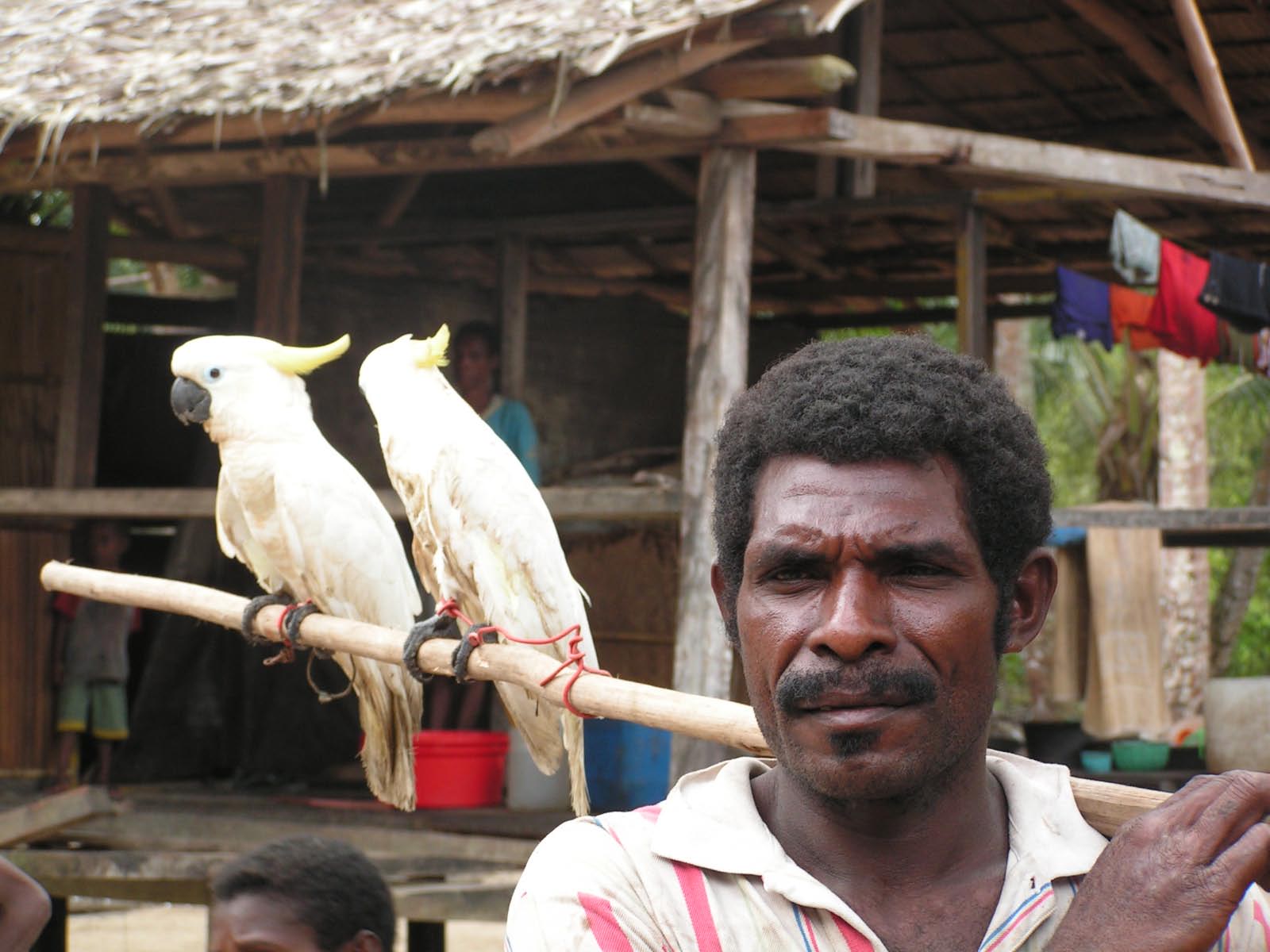 légende Papou de Nouvelle Guinée