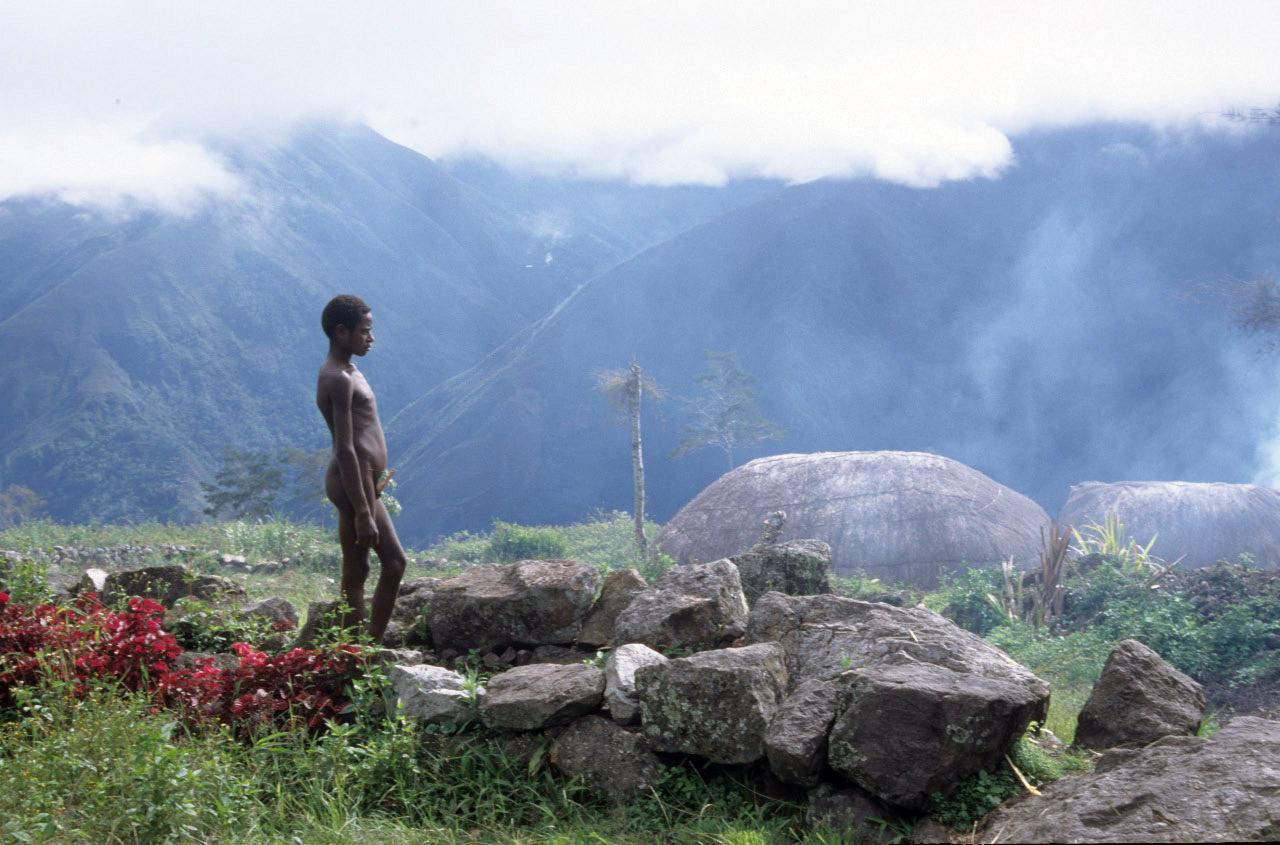 Une longue chaîne de montagne traverse la Nouvelle Guinée d'ouest en est
