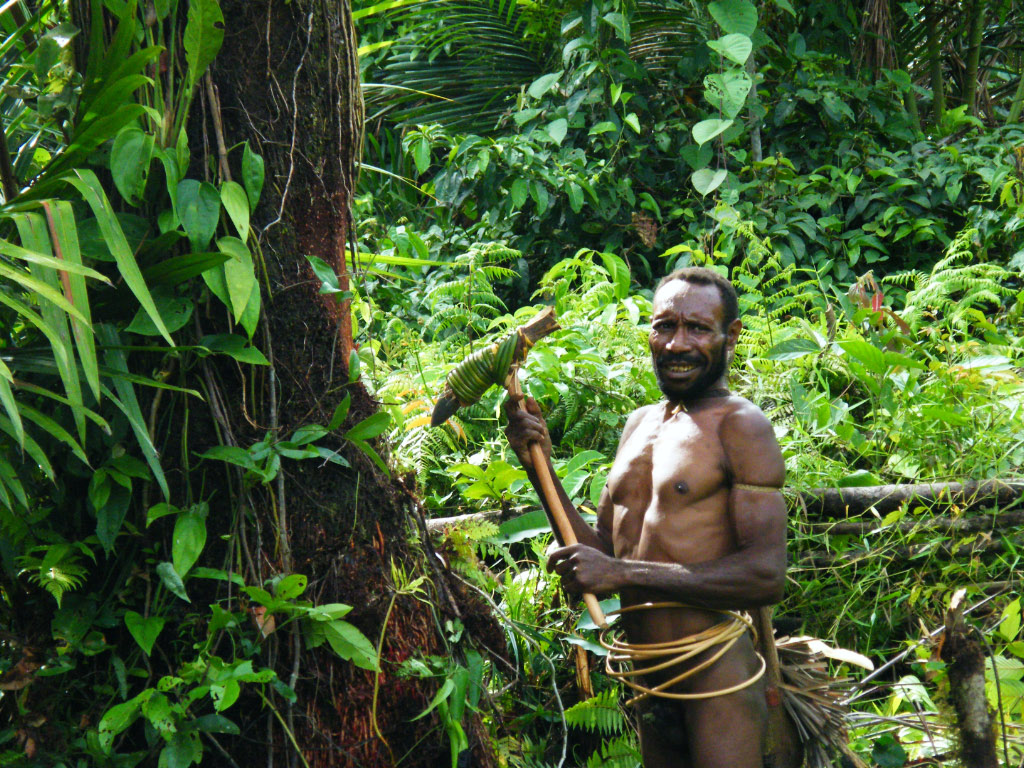 abattage s'effectue encore dans certaines régions à l'aide d'une hache en pierre poli