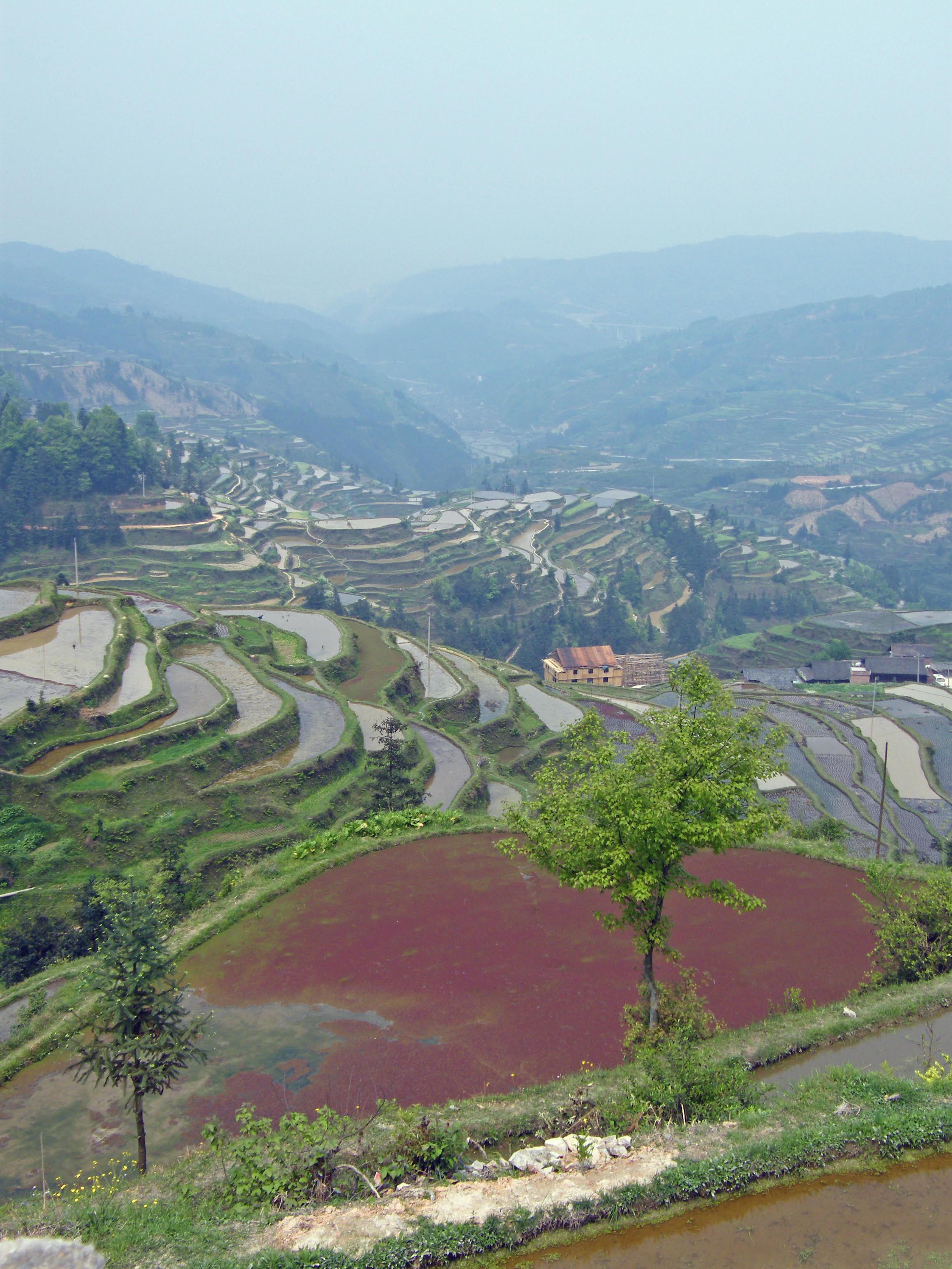 rizieres du guanxi rizieres du guanxi