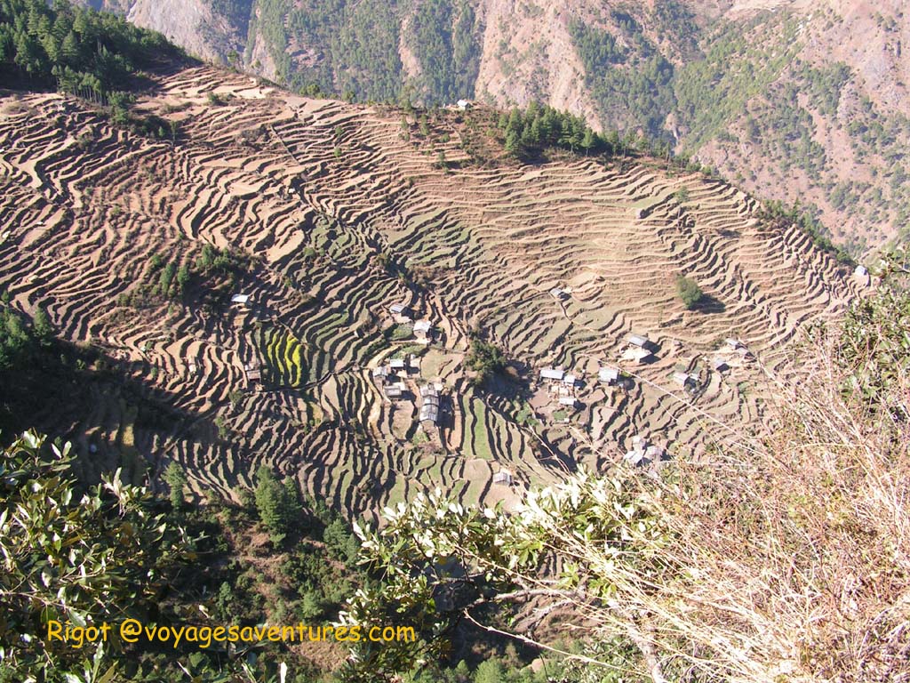 Terrasse au Langtang 