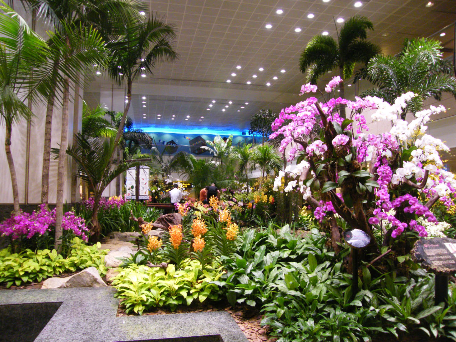 Singapour airport Singapour airport