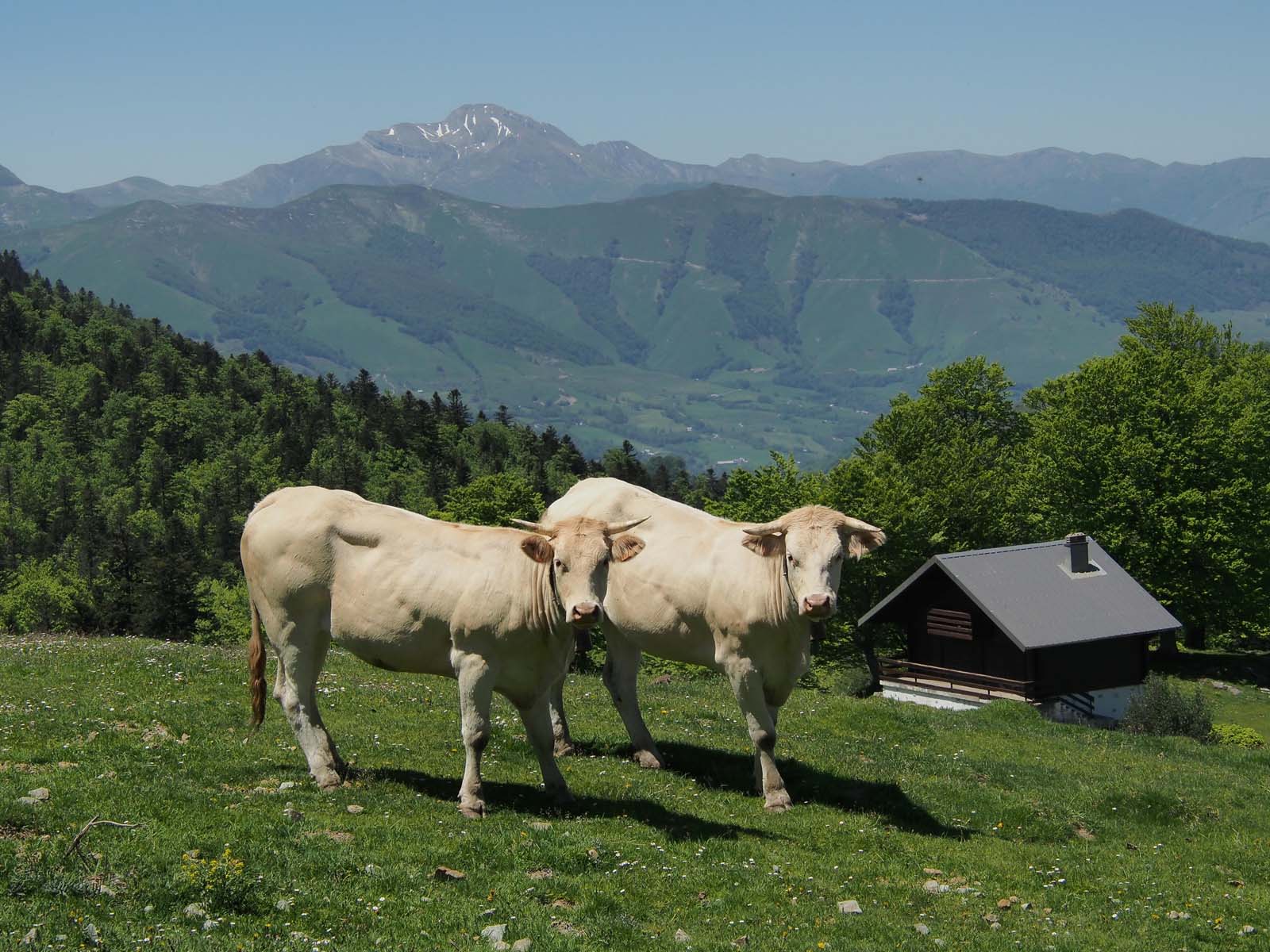 région de Soule au Pays basque région de Soule au Pays basque