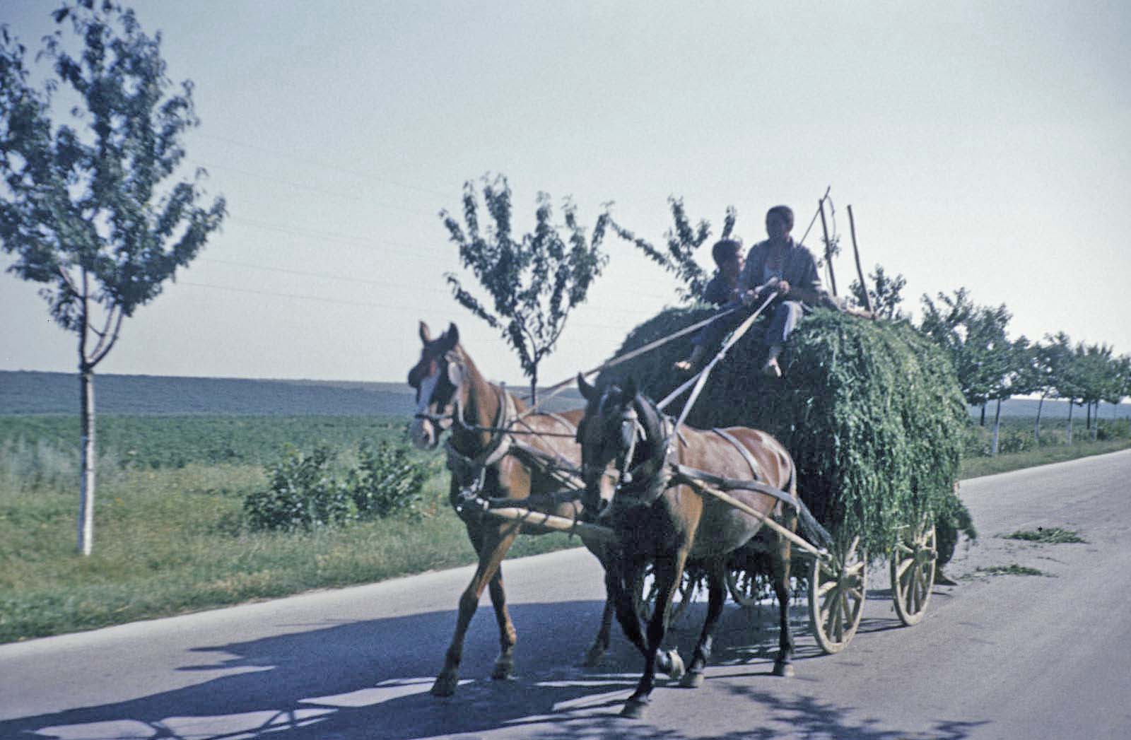 Rom avec attelage Rom avec attelage