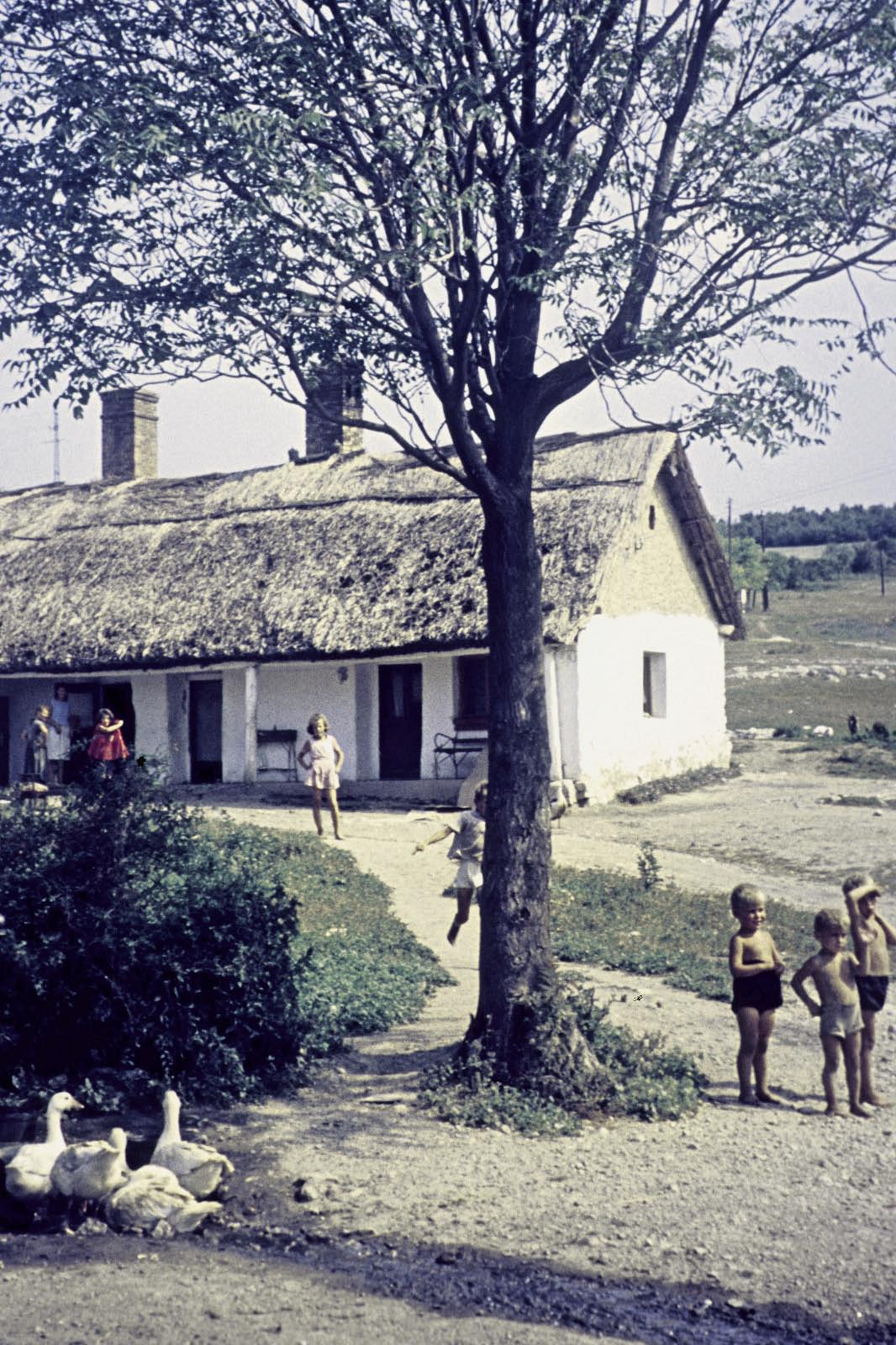 Roms d'europe de l'est Roms d'europe de l'est