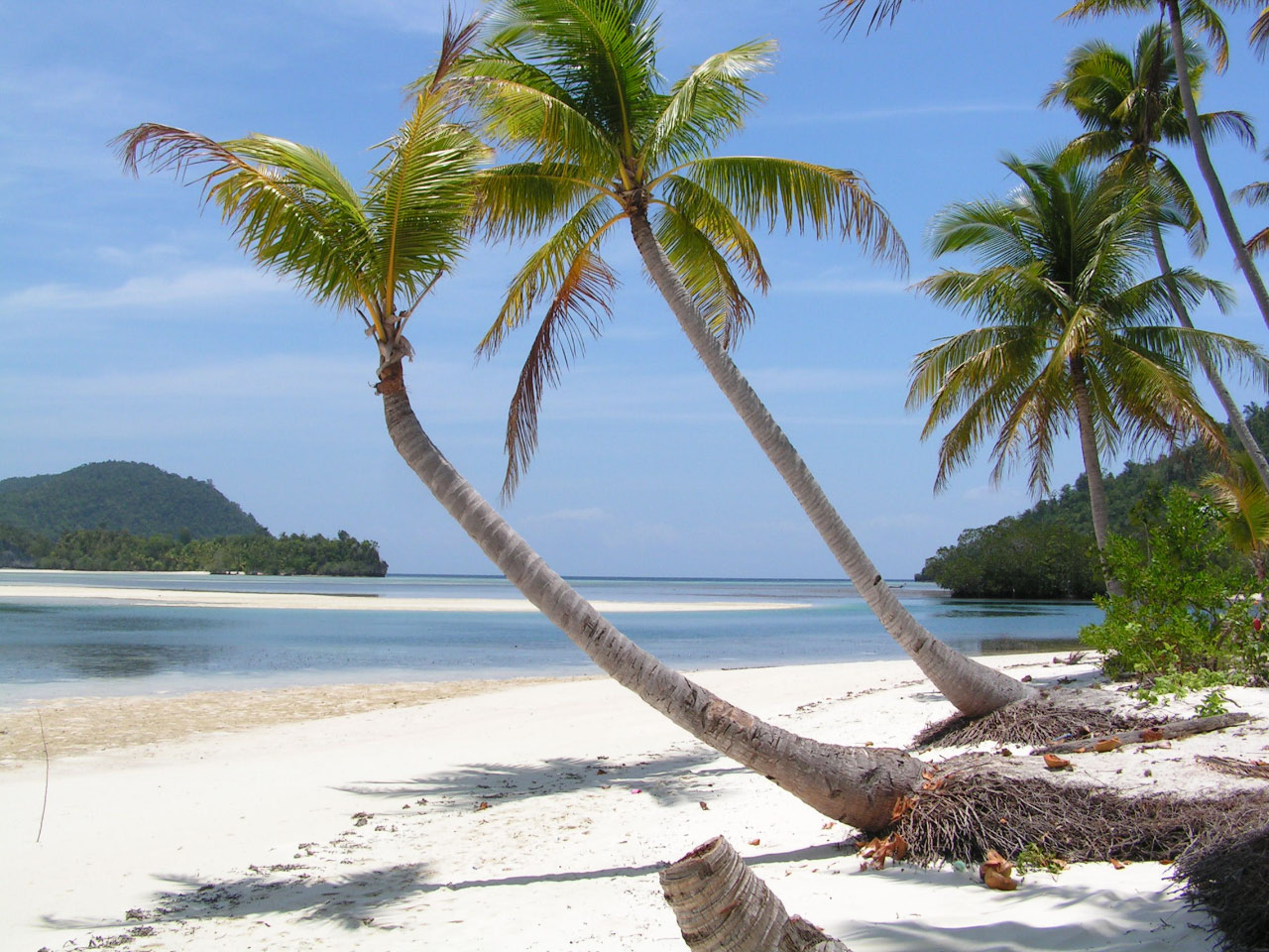 Indonésie plage des Molukes