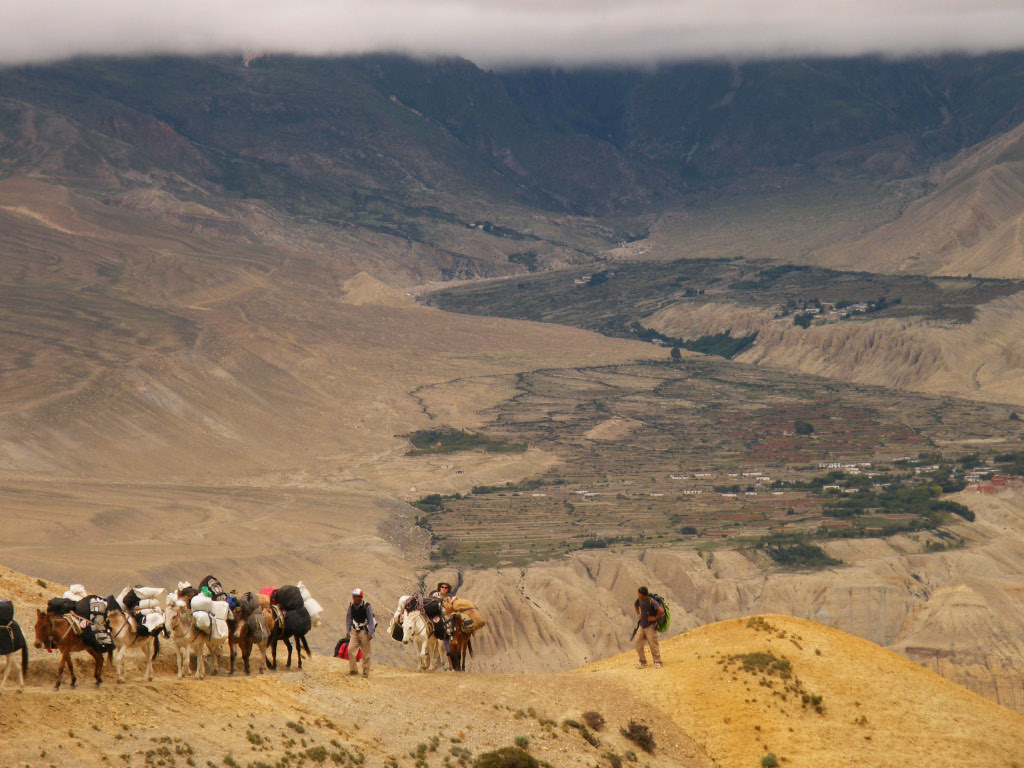 caravane de trek Le portage est effectué par des mules